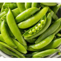 2021 New Crop Chinese High Quality Cheap Fresh Carrot Green Sugar Snap Pea